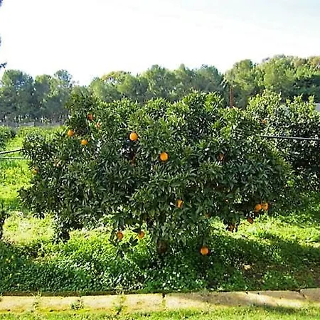 Holiday home Riserva Naturale Platani