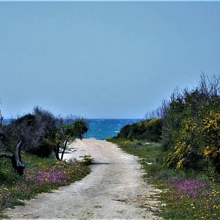 Riserva Naturale Platani *