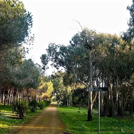 Riserva Naturale Platani * Ribera