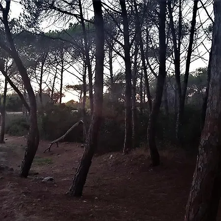 Riserva Naturale Platani Prázdninový dům Ribera