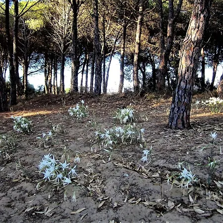 Prázdninový dům Riserva Naturale Platani *